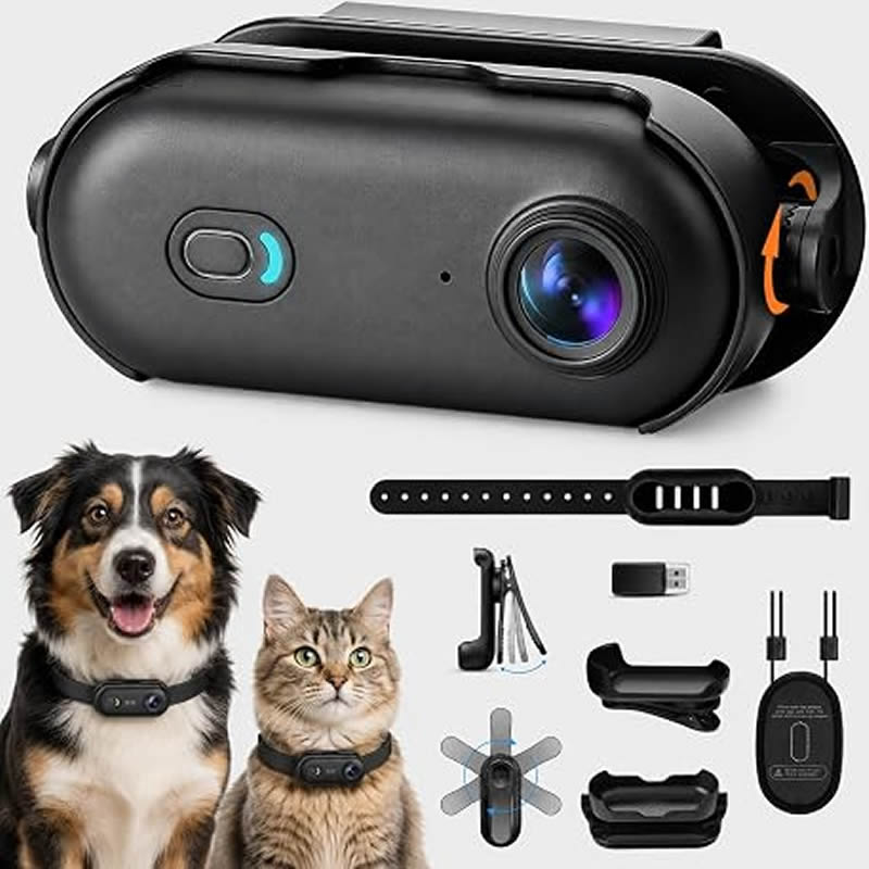 Haustierkameras 1080P HD Hunde – Home Cinema Hd Bewertung und Preis