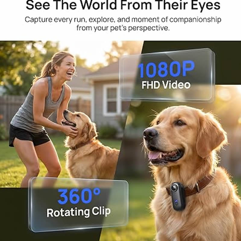 Haustierkameras 1080P HD Hunde – Home Cinema Hd Bewertung und Preis