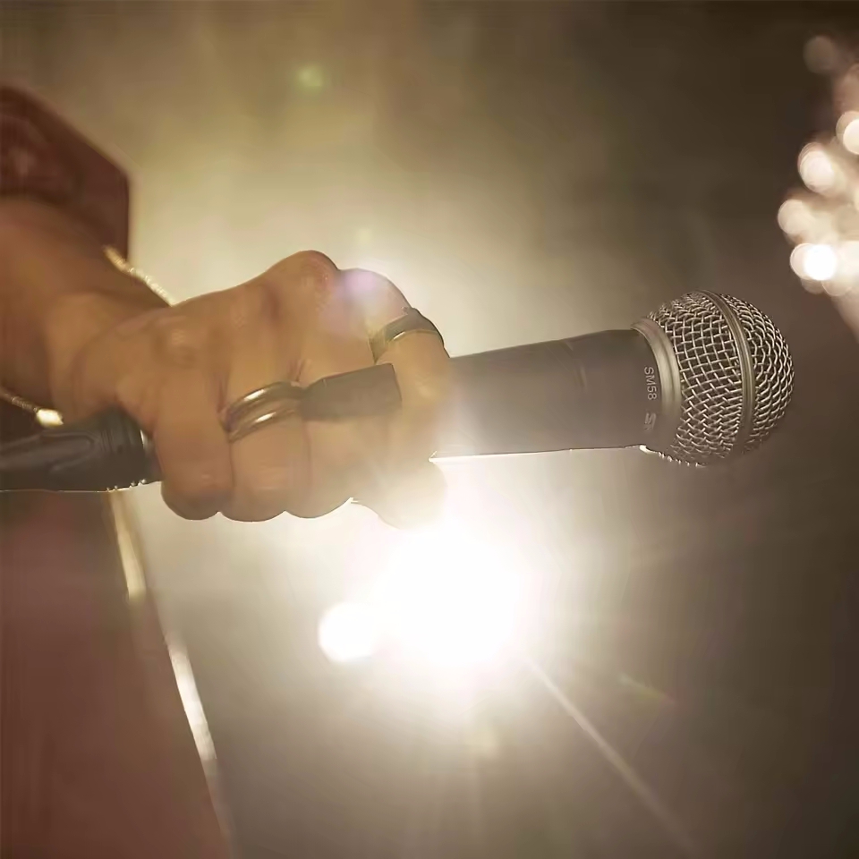 Karaoke-Dynamikmikrofon, profe – Shure Mic Sm58 Bewertung und Preis